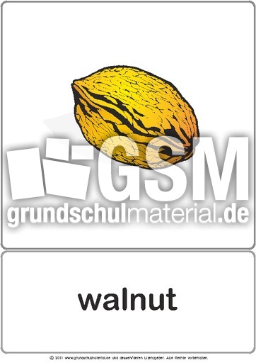 Bildkarte - walnut.pdf